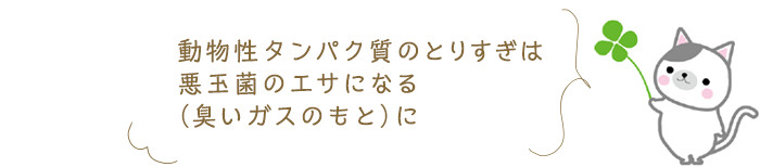 ～食事のとり方の注意点～