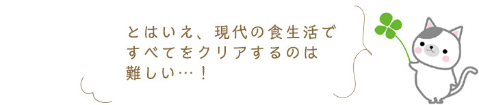 ～食事のとり方の注意点～