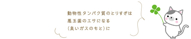 ～食事のとり方の注意点～