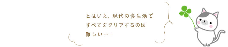 ～食事のとり方の注意点～